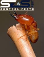 SES Termite Inspection Perth image 1